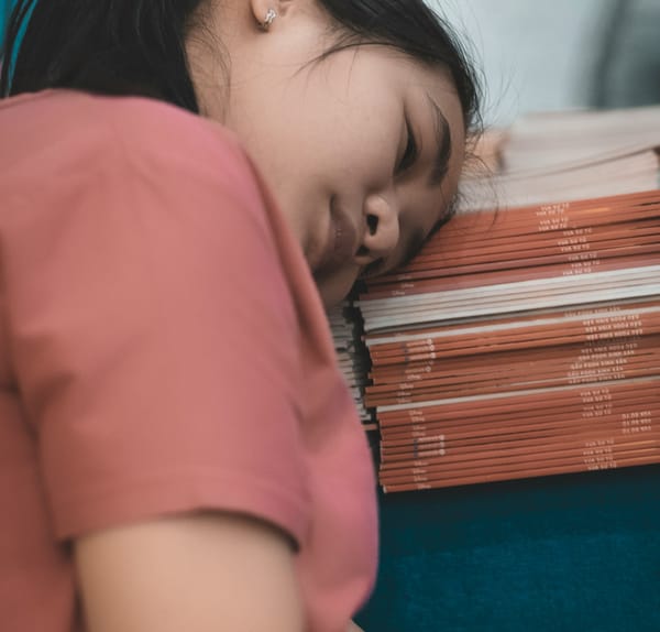 School Stamina: Mental, Physical, and Emotional Strategies for a Strong Start